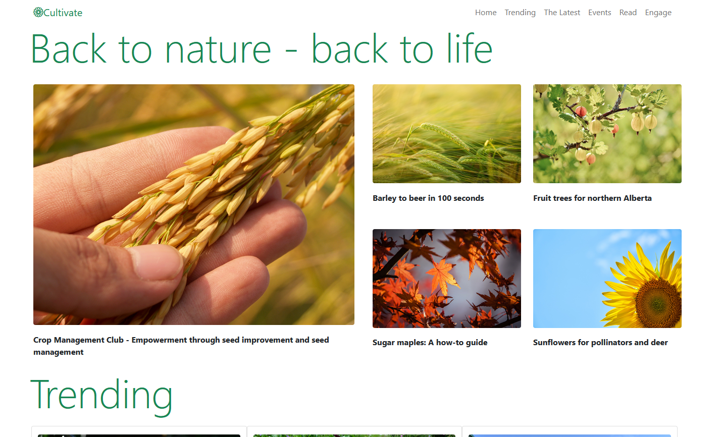 Cultivate Website